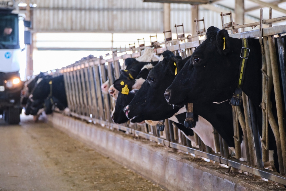 Αφθώδης πυρετός: ώρα ευθύνης, συντονισμού και άμεσης δράσης